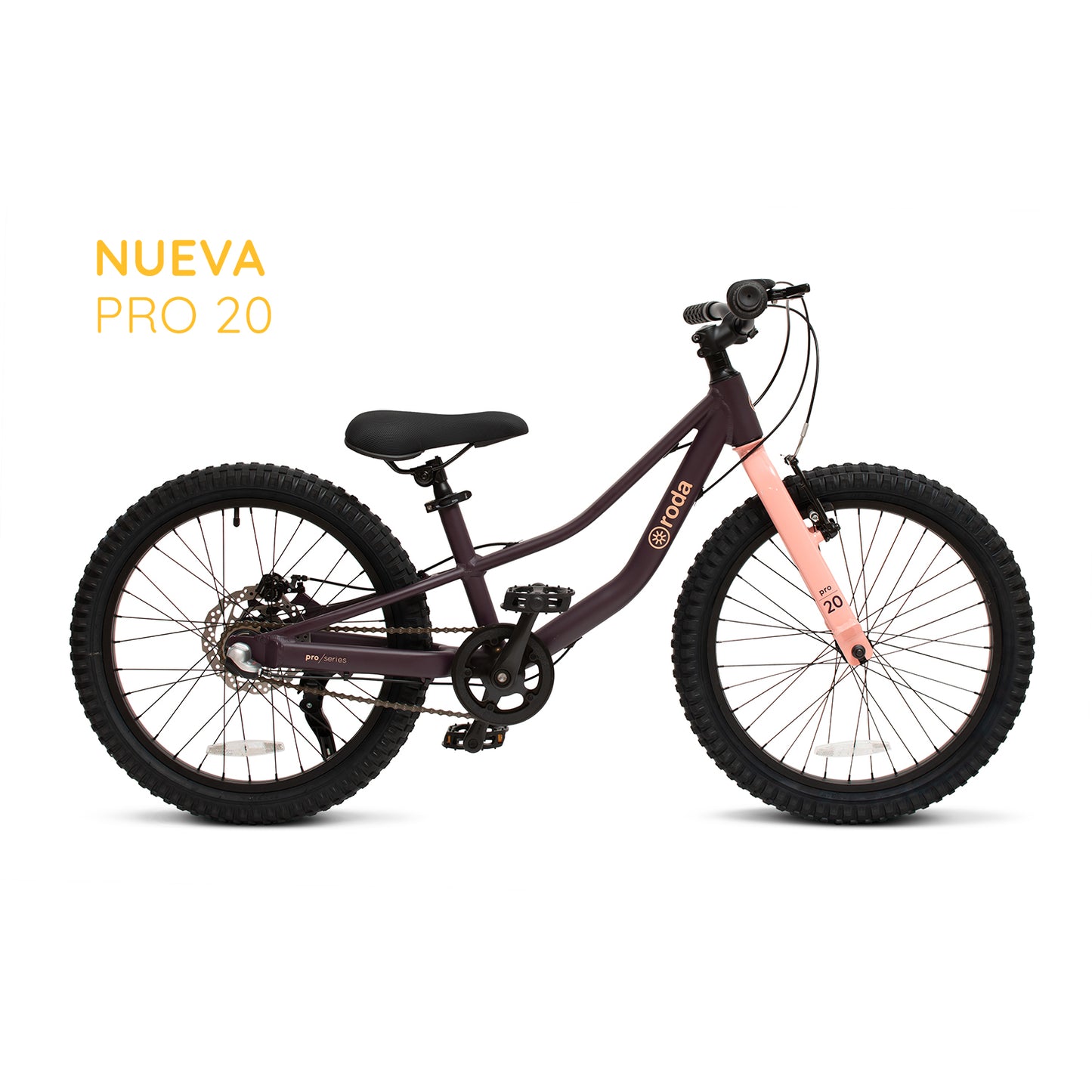 Bicicleta Roda Pro Series Aro 20
