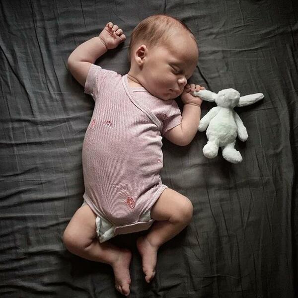 Peluche Conejo Gris Woodland | Pequeño