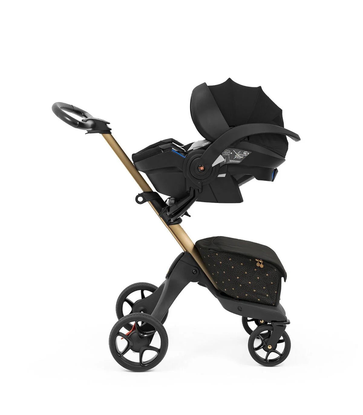 Coche Xplory X | Signature Edition
