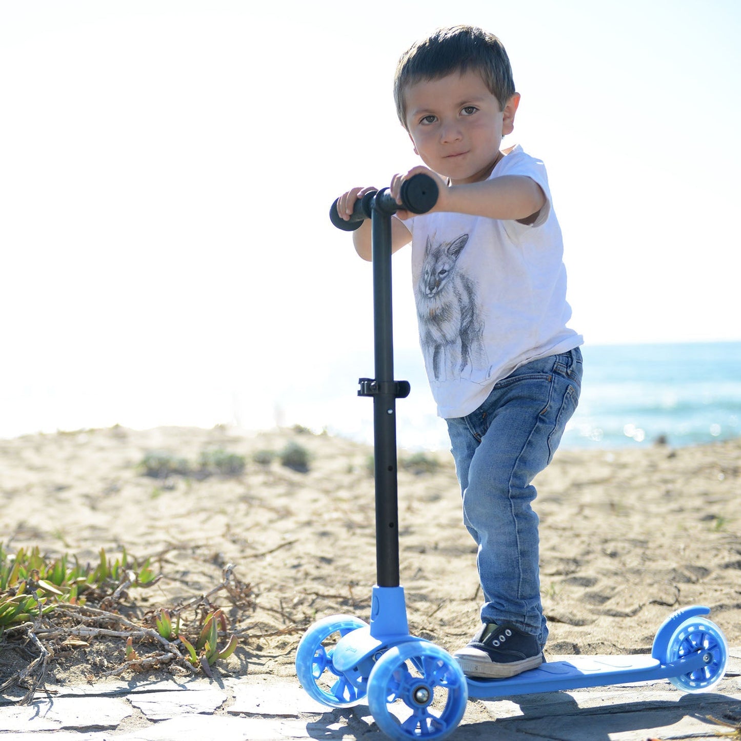 Scooter Roda v4