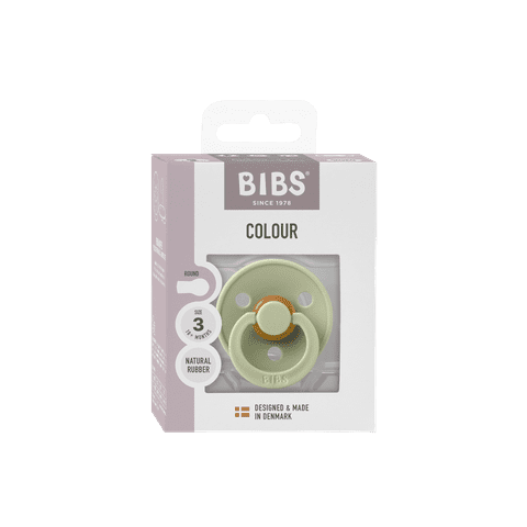 Chupete Bibs Colour x1 | Sage