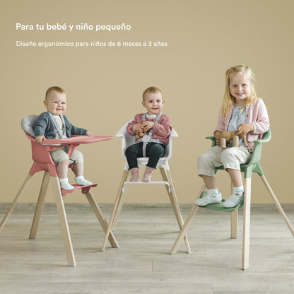 Pack Silla Stokke® Clikk™ Full