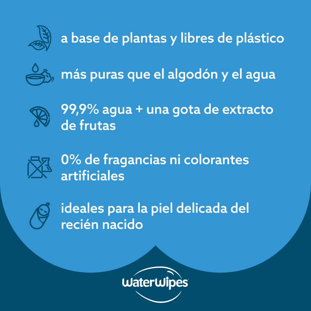 Pack 12 Toallitas Húmedas Waterwipes Biodegradables