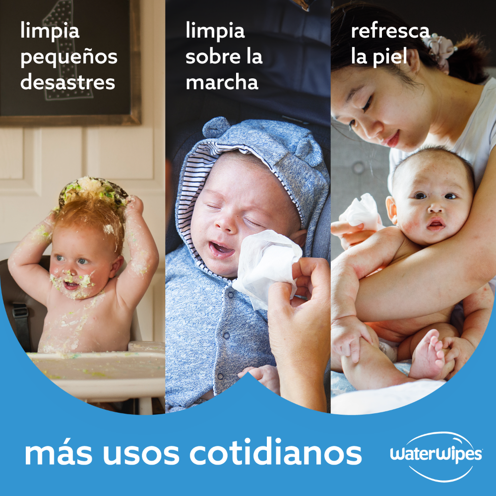 Pack 12 Toallitas Húmedas Waterwipes Biodegradables